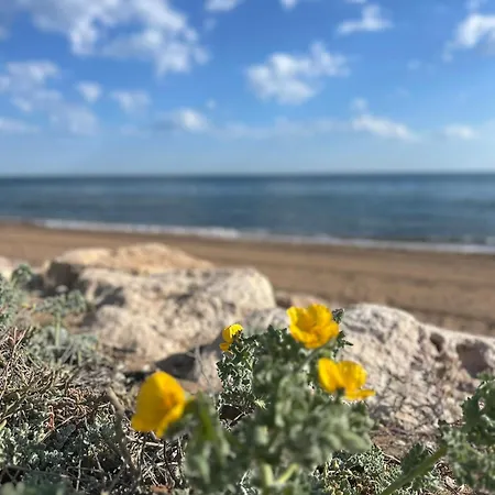 Seafront House Almadraba Semesterbostad Denia
