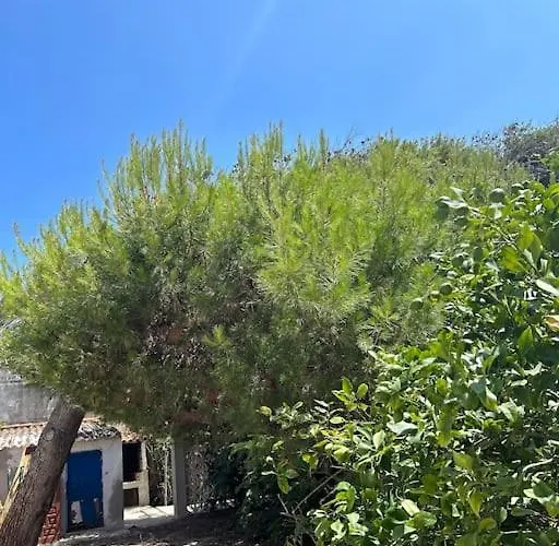 Seafront House Almadraba *