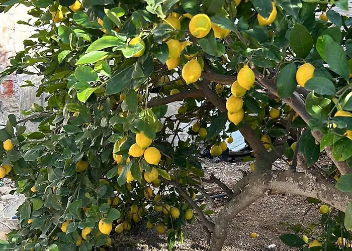 Seafront House Almadraba *