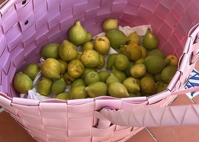 Сasa de vacaciones Seafront House Almadraba